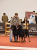 Exposición Nacional Canina Granada 2011