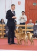 Exposición Nacional Canina Granada 2011