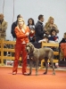 Exposición Nacional Canina Granada 2011