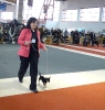 Exposición Nacional Canina Granada 2011