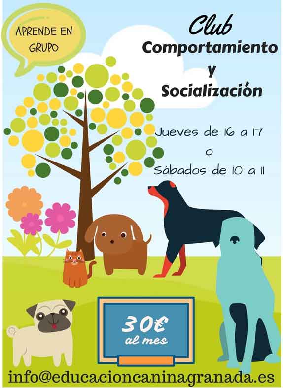 Club Comportaminto Socialización Perro