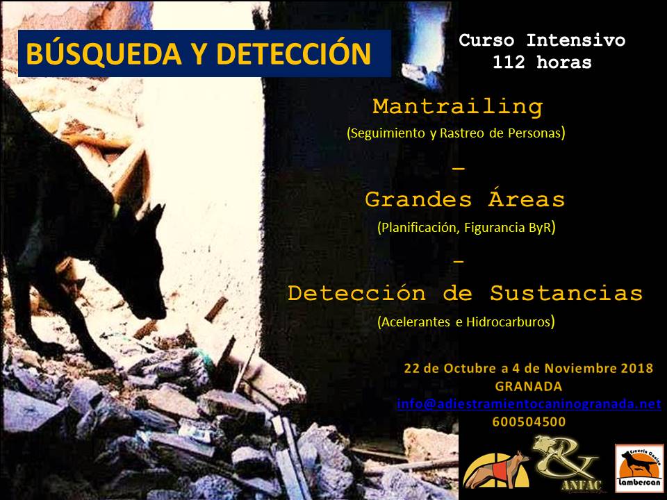 Curso Intensivo de Búsqueda y Detección con Perros