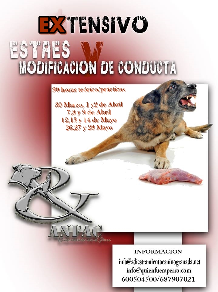 CURSO ESTRÉS, MIEDO Y MODIFICACIÓN DE CONDUCTA PERROS