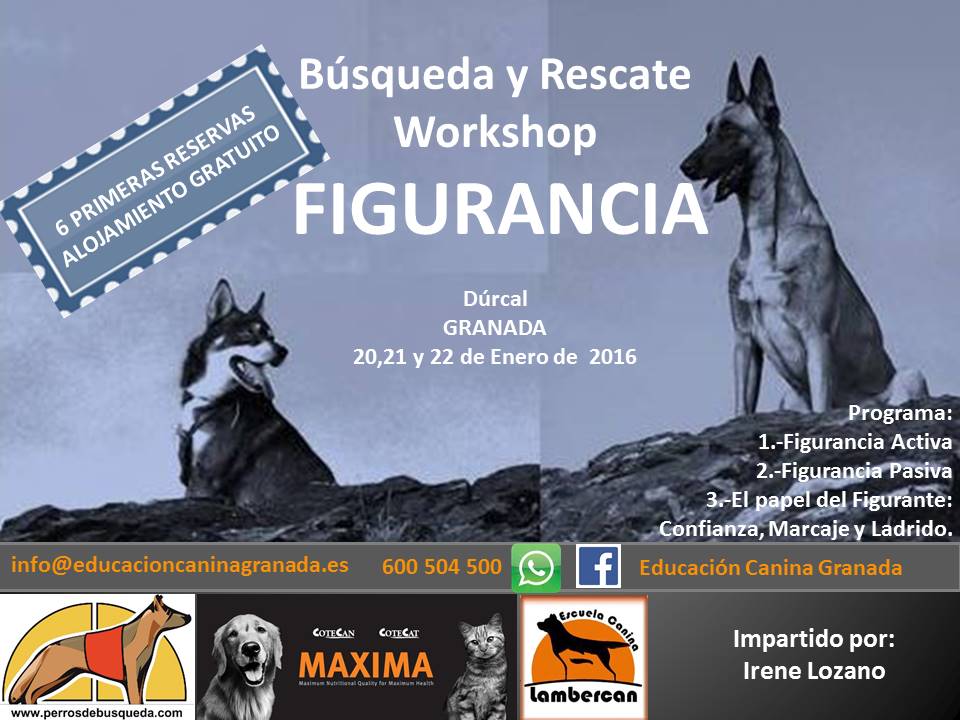 Curso de formación de figurantes de búsqueda y rescate con perros en Granada