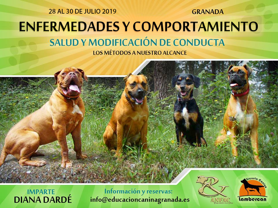 Seminario Enfermedades y Problemas de Conducta Canina