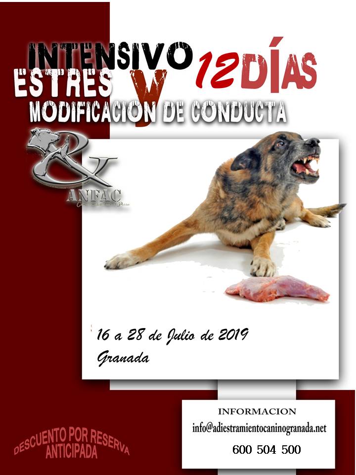 CURSO ESTRÉS MIEDO Y MODIFICACIÓN CONDUCTA CURSO ESTRÉS MIEDO Y MODIFICACIÓN CONDUCTA