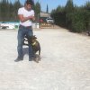 CURSO DE SEGURIDAD PERROS GRANADA