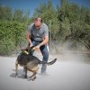 CURSO DE SEGURIDAD PERROS GRANADA