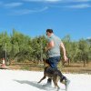 CURSO DE SEGURIDAD PERROS GRANADA