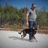 CURSO DE SEGURIDAD PERROS GRANADA