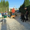 CURSO DE SEGURIDAD PERROS GRANADA