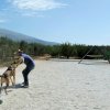 CURSO DE SEGURIDAD PERROS GRANADA