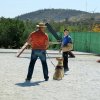 CURSO DE SEGURIDAD PERROS GRANADA