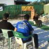 CURSO DE SEGURIDAD PERROS GRANADA