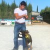 CURSO DE SEGURIDAD PERROS GRANADA