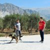 CURSO DE SEGURIDAD PERROS GRANADA