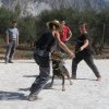 CURSO DE SEGURIDAD PERROS GRANADA