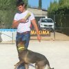 CURSO DE SEGURIDAD PERROS GRANADA