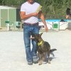 CURSO DE SEGURIDAD PERROS GRANADA