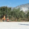 CURSO DE SEGURIDAD PERROS GRANADA