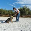 CURSO DE SEGURIDAD PERROS GRANADA