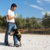 CURSO DE SEGURIDAD PERROS GRANADA