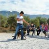 CURSO DE SEGURIDAD PERROS GRANADA