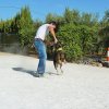 CURSO DE SEGURIDAD PERROS GRANADA