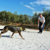 CURSO DE SEGURIDAD PERROS GRANADA