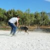 CURSO DE SEGURIDAD PERROS GRANADA