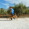 CURSO DE SEGURIDAD PERROS GRANADA