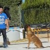 CURSO DE SEGURIDAD PERROS GRANADA