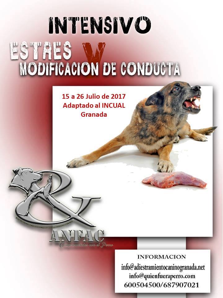 Curso Monográfico de Modificación de Conducta perros