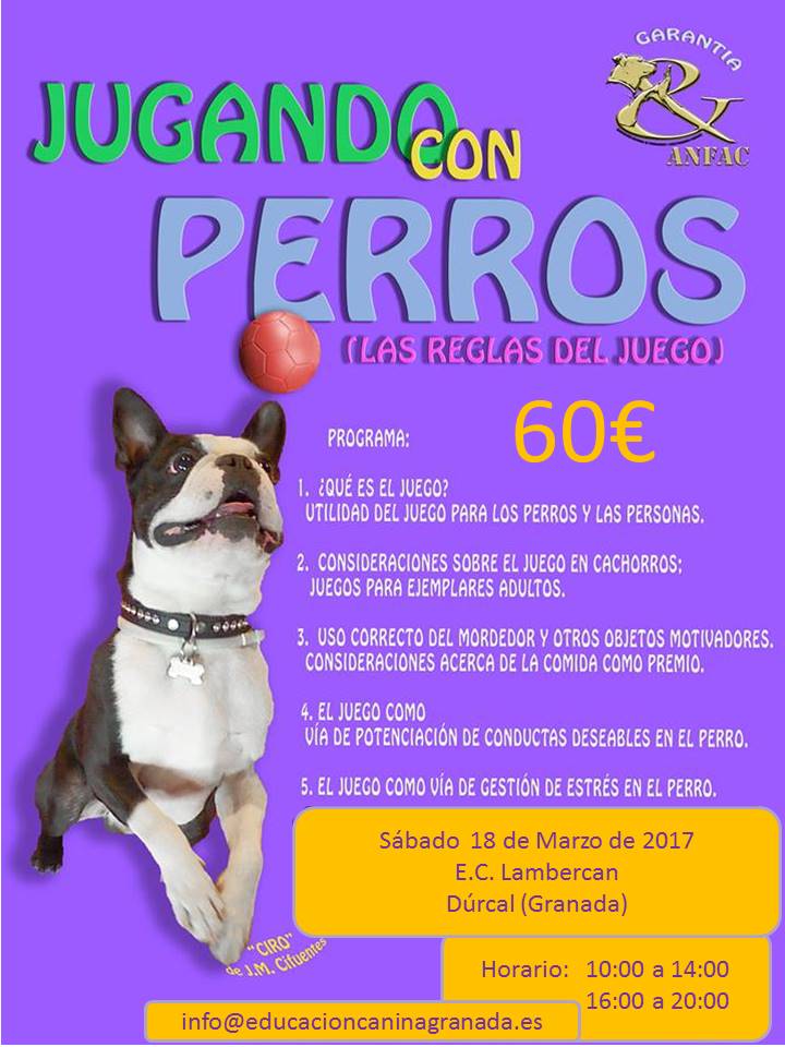 Adiestrar a tu perro jugando en Granada